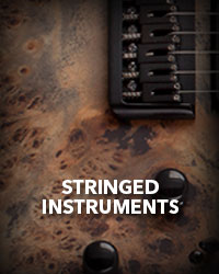 Stringed Instruments
