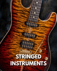 Stringed Instruments